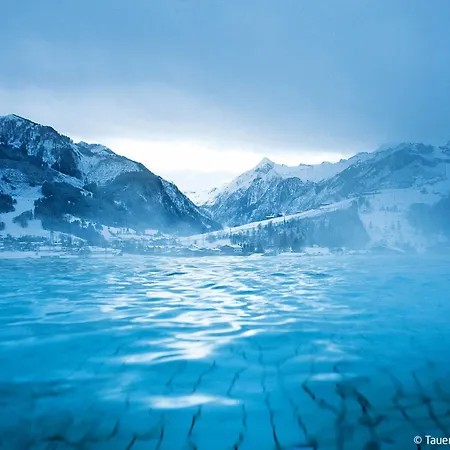 Lejlighed Anny 2 By Interhome Zell am See